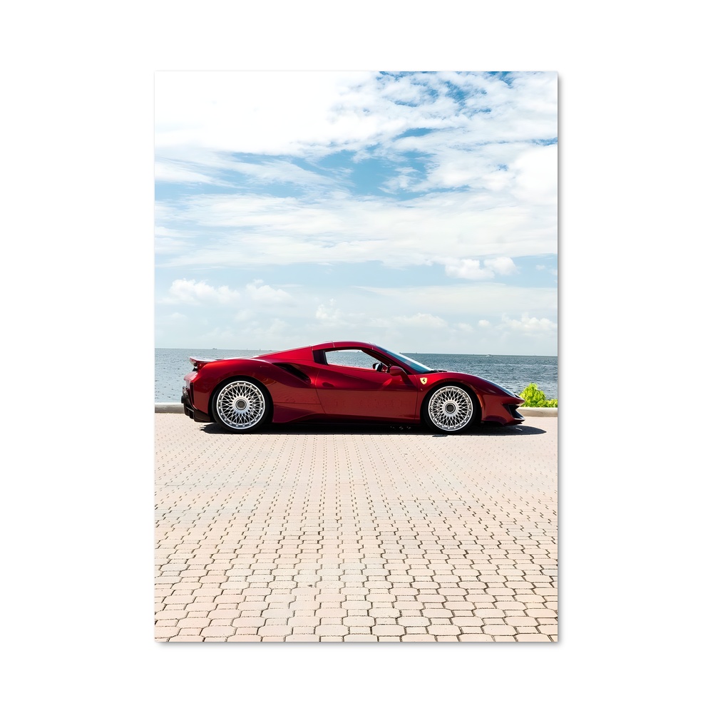 Poster pista spider